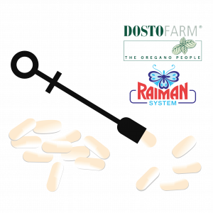 RAIMAN CAPS